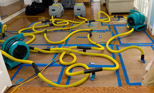 Professional Storm Water Damage Restoration technician working in Woodside, PA